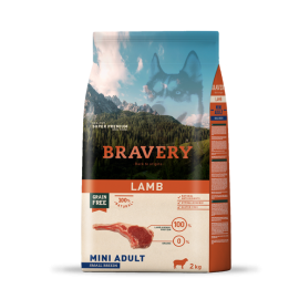 Bravery-DOG-lamb-2k-min.png